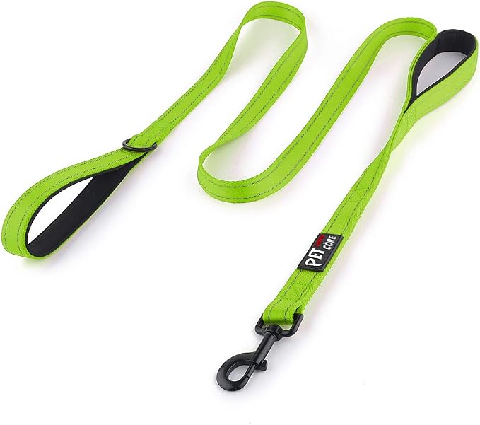 Plutus Pet Double Handle Dog Leash, 5 FT Long, for Medium Large Dogs | Reflective Nylon, Soft Padded 2 Handles, Heavy Duty for Training, Dual Handle Lead, 5 FT x 1”, Green by PLUTUSPET