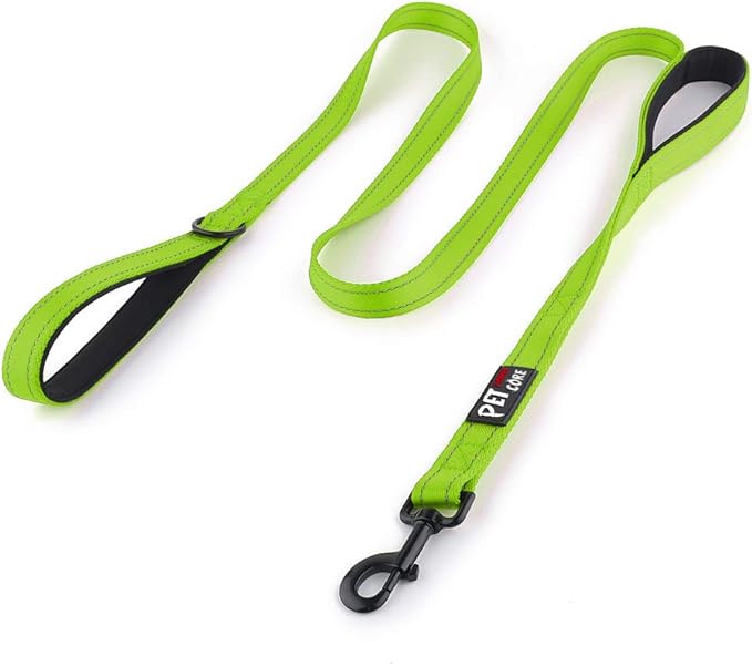 Plutus Pet Double Handle Dog Leash, 4 FT Long, for Medium Large Dogs | Reflective Nylon, Soft Padded 2 Handles, Heavy Duty for Training, Dual Handle Lead, 4 FT x 1”, Green by PLUTUSPET