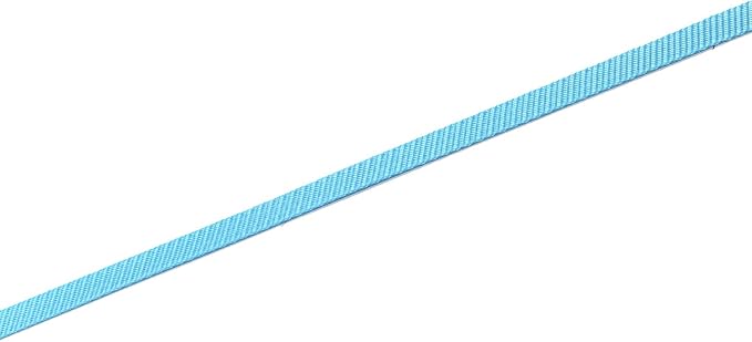 Nylon Dog Leash 4 Ft 5 Feet 6 Foot Long, Walking Training Dog Leashes for Medium Large Dogs, 1 Inch Wide(6ft,Blue) - Image 5