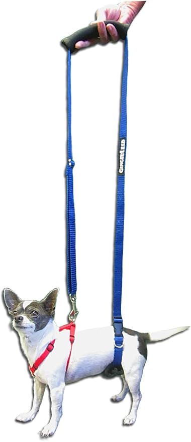 Dog Back Support IVDD Sling Harness, X-Small & Dachshunds | Fits Pets Under 25 lbs and Doxies, Walking Aid for K9s with Disc Disease, Fully Adjustable, Chest Harness NOT Included by GINGERLEADDogSupportSlings
