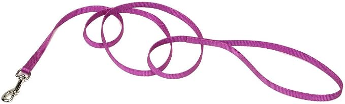 Coastal Pet Single-Ply Dog Leash - Sturdy Pet Leash - Comfortable & Stylish - Resists Fraying - Vibrant & Fade-Resistant Color - Orchid, 3/8" x 6' by CoastalPet