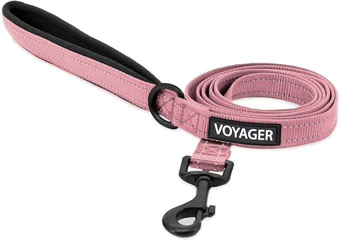 Best Pet Supplies Voyager Reflective Dog Leash or Collar with Neoprene Handle, for Small, Medium, and Large Breed Puppies, Cute and Heavy Duty for Walking, Running and Training - Soft Pink (Leash), M by BestPetSuppliesLLC