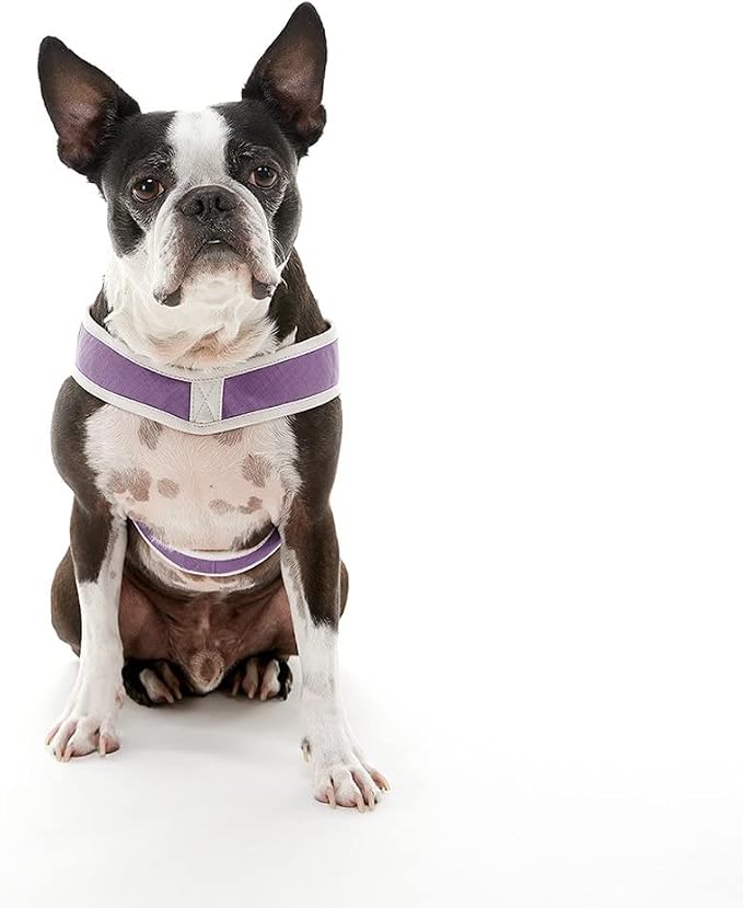 Gooby Simple Step-in III Dog Harness, Purple, Medium | Slide-to-fit chest strap; Breathable inner mesh; Scratch-resistant outer; Quick-release buckle; Durable POM leash ring - Image 3