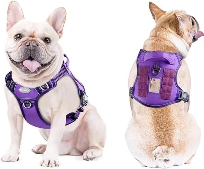AUROTH Dog Harness for Small Medium Dogs, Tactical No Pull Dog Vest | No Choke, Heavy Duty, Reflective, Military K9, Adjustable, Handle, Easy Control for Walking, Army yellow, Small - Image 2