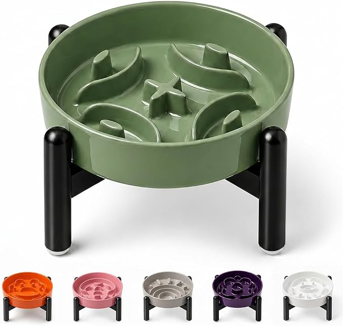 Elevated Slow Feeder Dog Bowl, 0.8 Cups Ceramic Raised Slow Feeder with Stainless Stand, 6.3 Inch Wide Lifted Dog Bowl for Small Breeds to Control Eating Speed, Green by PTOBER