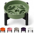Elevated Slow Feeder Dog Bowl, 0.8 Cups Ceramic Raised Slow Feeder with Stainless Stand, 6.3 Inch Wide Lifted Dog Bowl for Small Breeds to Control Eating Speed, Green by PTOBER