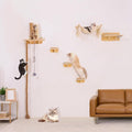 Cat Wall Shelves, Large Wall-Mounted 6-in-1 cat Furniture Set (Climbing Rope+Sisal Scratching Post+Macrame Resting Hammock+Interactive Toys Ball+Feeding Bowls Station+3 Wall Steps) for Indoor Kitties by netsTribe