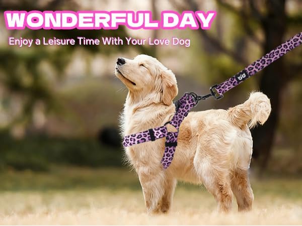 Dog Harness Leash Set Adjustable Heavy Duty No Pull Halter Harnesses for Small Medium Large Breed Dogs Back Clip Anti-Twist Perfect for Walking - Image 8