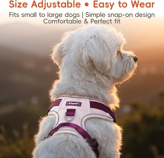 Dog Harness and Leash Set with Collar, No Pull Reflective Pet Vest Harness with Control Handle for Medium Large Dogs Walking and Training - Image 5