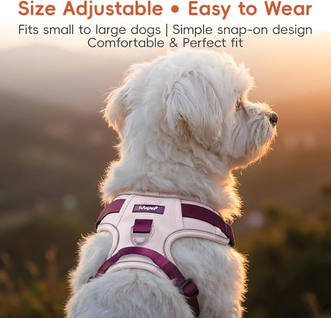 Dog Harness and Leash Set with Collar, No Pull Reflective Pet Vest Harness with Control Handle for Medium Large Dogs Walking and Training - Image 5