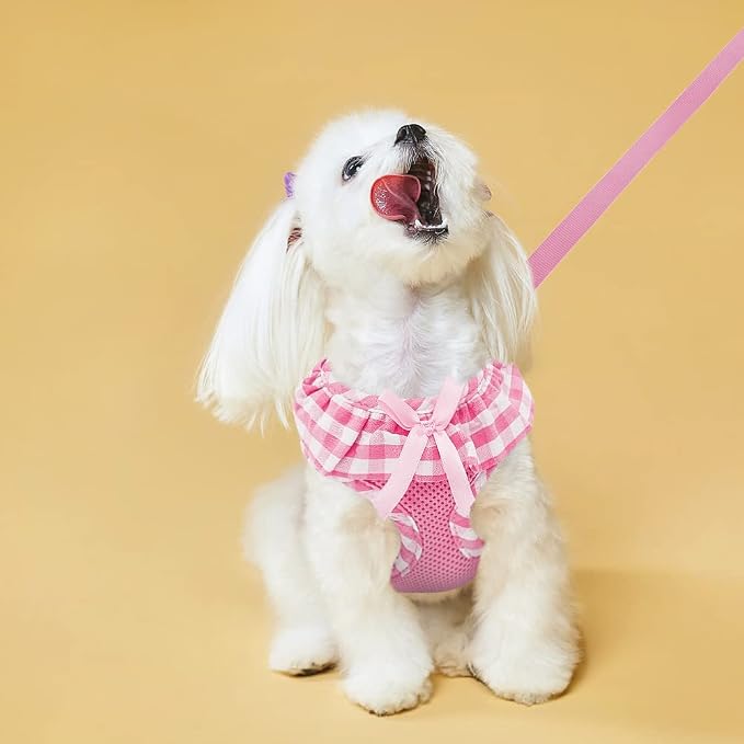 EXPAWLORER Step-in Dog Harness Small Sized and Leash Set | Cute Small Dog Harness No Pull Girl, Breathable Soft Mesh Padded, Adjustable Light Puppy Vest for Dogs Cats, Pink M - Image 7
