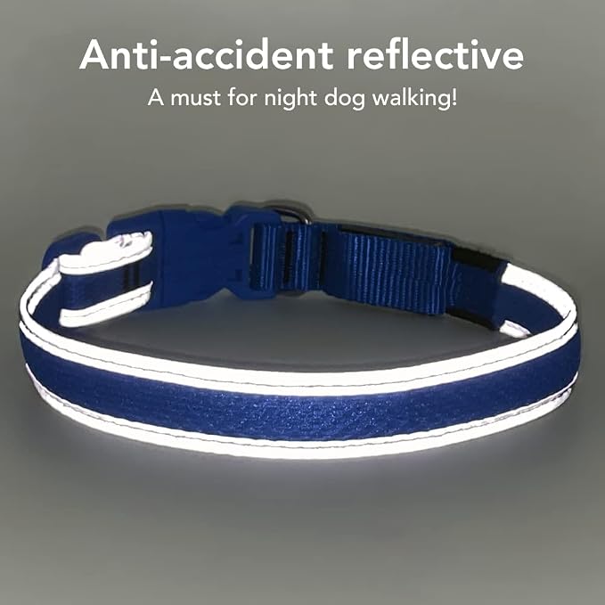 BSEEN Light Up Dog Collar, Reflective LED Puppy Collar Rechargeable Glow in the Dark Dog Lights for Night Walking (Small, Blue) - Image 3