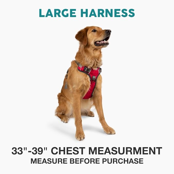 Embark No Pull Dog Harness, Reflective Adjustable Training Vest, No Choke | Adjustable straps fit all dog breeds with sturdy hooks; 360° reflective trim, soft padded Harness Design for All Dogs - Image 2