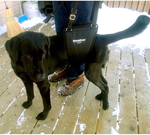Dog Sling Hind Leg Support, M/LG Unisex with Cutout, Made in USA | Help Pets Walk, K9s Recover from Surgery, Fits Male & Female, Integrated Leash, Machine Wash/Dry, Chest Harness NOT Included - Image 7