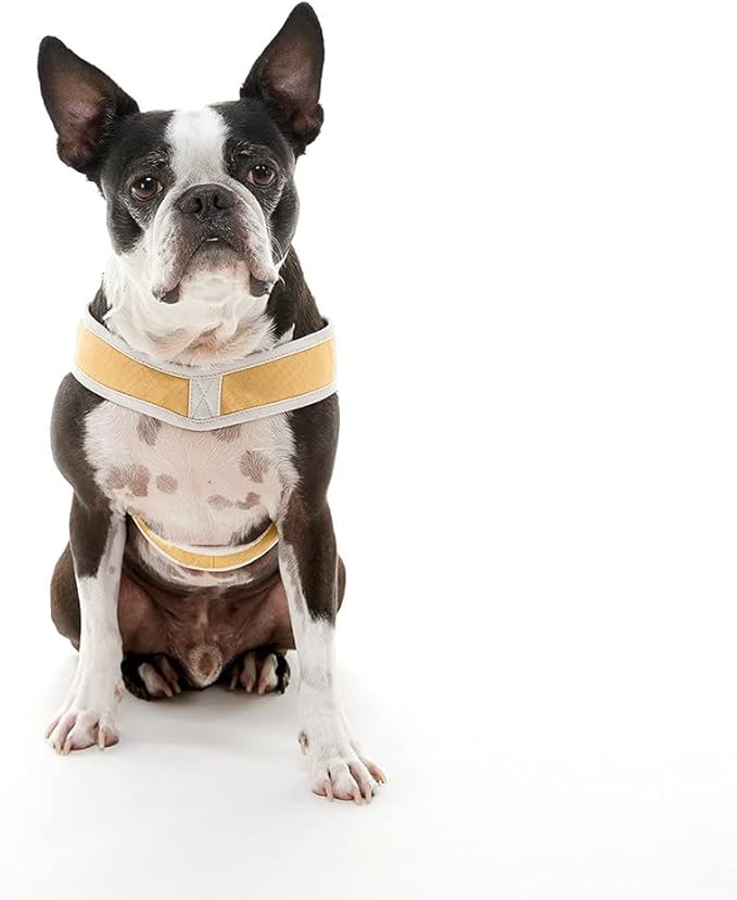 Gooby Simple Step-in III Dog Harness, Yellow, Small | Slide-to-fit chest strap; Breathable inner mesh; Scratch-resistant outer; Quick-release buckle; Durable POM leash ring - Image 3