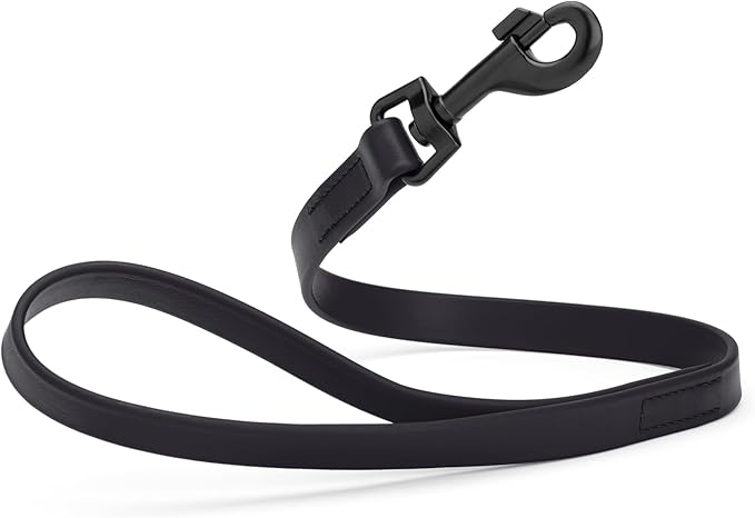 Dogline Biothane Waterproof Dog Leash Strong Coated Nylon Webbing with Black Hardware Odor-Proof Easy to Clean High Performance for Small or Large Dogs Made in USA 2 ft Lead, Black by Dogline