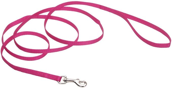 Coastal Pet Single-Ply Dog Leash - Sturdy Pet Leash - Comfortable & Stylish - Resists Fraying - Vibrant & Fade-Resistant Color - Pink Flamingo, 3/8" x 6' by CoastalPet