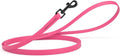 Dogline Biothane Waterproof Dog Leash 2/4/6 Ft Strong Coated Nylon Webbing with Black Hardware Odor-Proof Easy to Clean High Performance for Small or Large Dogs Made in USA, Passionfruit Pink by Dogline