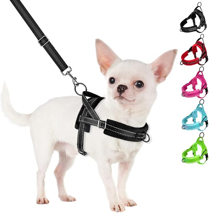 SlowTon No Pull Small Dog Harness and Leash Set with Front Clip | Soft Padded, Neck & Chest Adjustable, Lightweight, Anti-Twist, Puppy Vest Harness Pet Lead Combo for Small Medium Dog, B, XS by SlowTon