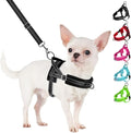 SlowTon No Pull Small Dog Harness and Leash Set with Front Clip | Soft Padded, Neck & Chest Adjustable, Lightweight, Anti-Twist, Puppy Vest Harness Pet Lead Combo for Small Medium Dog, B XXS by SlowTon