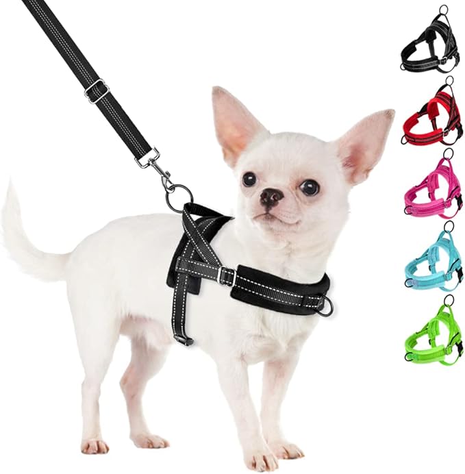 SlowTon No Pull Small Dog Harness and Leash Set with Front Clip | Soft Padded, Neck & Chest Adjustable, Lightweight, Anti-Twist, Puppy Vest Harness Pet Lead Combo for Small Medium Dog, B XXS by SlowTon