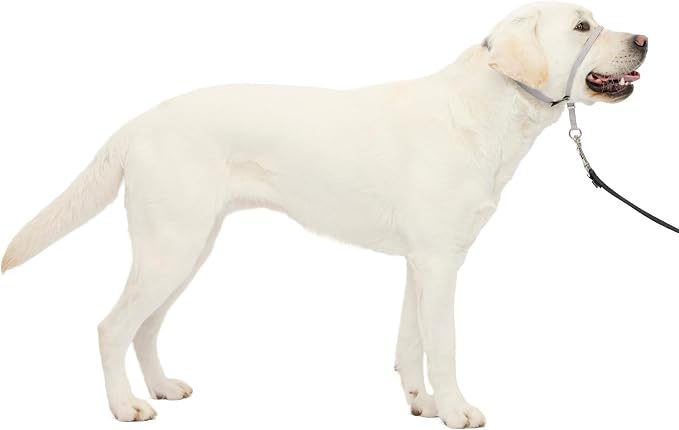 PetSafe Gentle Leader No Pull Dog Headcollar, Silver, Large | Veterinary Behaviorist-Designed No-Pull Headcollar Redirects Pulling Instinct, Padded Neoprene Nose Loop, Quick-Snap Fit by PetSafe