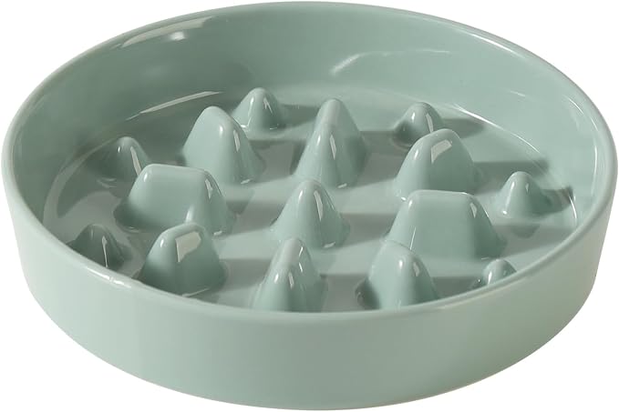 Havniva Dog Bowls Slow Feeder, Ceramic Slow Feeder Dog Bowls for Fast Eater | 1.6 Cups Dog Food Bowl Puzzle Feeder, Slow Feeding Bowls for Medium Breed, Non-Slip Base, Anti-Choking by Havniva