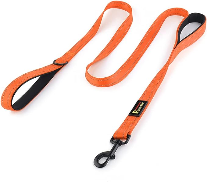 Plutus Pet Double Handle Dog Leash, 4 FT Long, for Medium Large Dogs | Reflective Nylon, Soft Padded 2 Handles, Heavy Duty for Training, Dual Handle Lead, 4 FT x 1”, Orange by PLUTUSPET