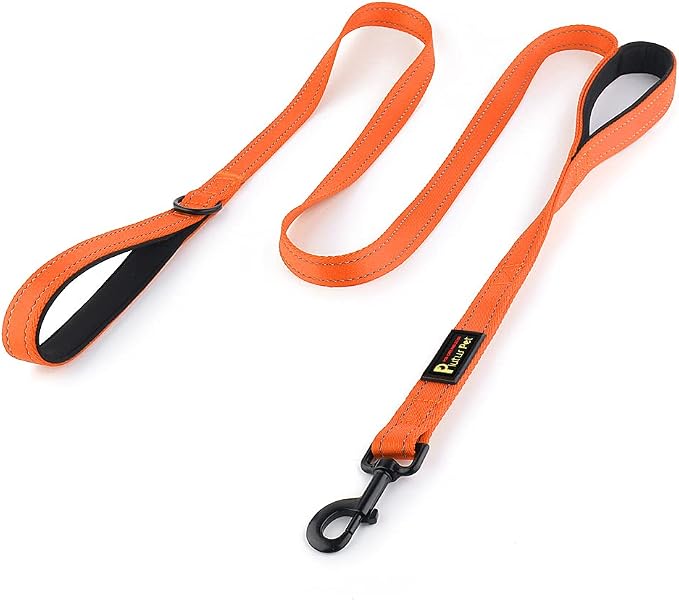 Plutus Pet Double Handle Dog Leash, 6 FT Long, for Medium Large Dogs | Reflective Nylon, Soft Padded 2 Handles, Heavy Duty for Training, Dual Handle Lead, 6 FT x 1”, Orange by PLUTUSPET