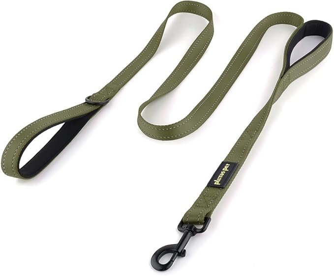 Plutus Pet Double Handle Dog Leash, 6 FT Long, for Medium Large Dogs | Reflective Nylon, Soft Padded 2 Handles, Heavy Duty for Training, Dual Handle Lead, 6 FT x 1”, Ranger Green by PLUTUSPET