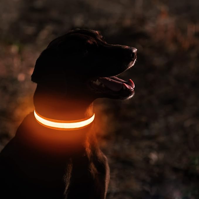 MASBRILL LED Dog Collar-Light Up Dog Collars Rechargeable Waterproof Lighted Dog Collar Night Walking Glow Collar for Small Medium Large Dogs - Image 2