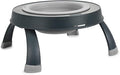 Dexas Pets Elevated Pet Feeder, Small, 1.5 Cup Capacity, Light Gray, Raised Pet Food and Water Bowl by Dexas