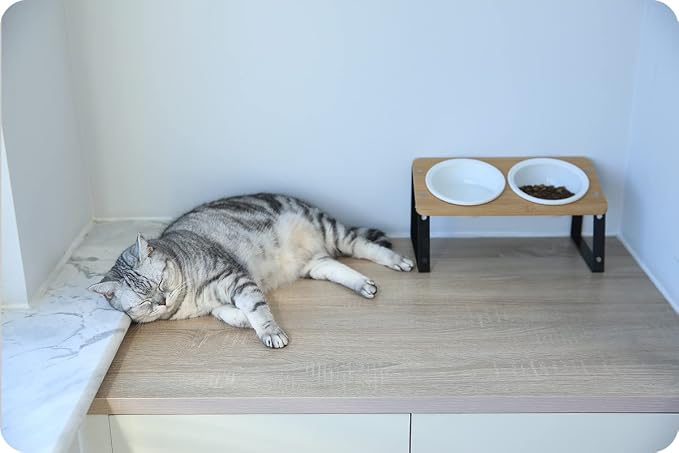 AYADA Elevated Cat Bowls Height Adjustable with Stand (Ceramic) | 15-Degree Tilt, 4.7 or 5.5 Inches, Non-slip Pad, Double Bowls, For Dry Food, Wet Food, Water, Ergonomic, Spine Protection - Image 4