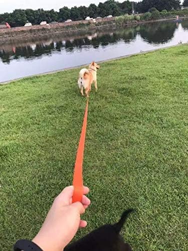 AMAGOOD Dog/Puppy Obedience Recall Training Agility Lead-15 ft 20 ft 30 ft 50 ft Long Leash-for Dog Training,Tie Out,Play,Safety,Camping (50Feet x 1Inch, Blue) - Image 6