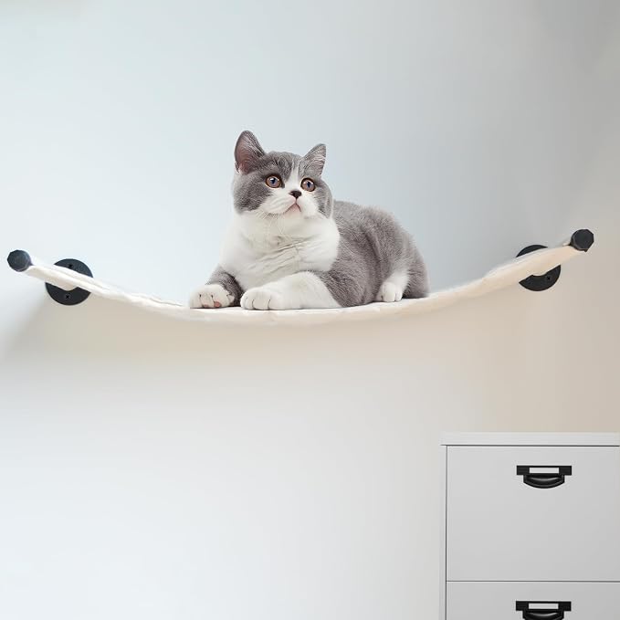 Cat Hammock Wall Mounted, Wall Mounted Cat Shelves, 35.43 x 12.99 in | Washable Replacement Cloth Wall Mounted Cat Shelves, For Large cats, For Sleeping, Playing, Climbing and Resting by XIFOWE