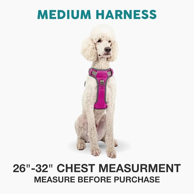 Embark No Pull Dog Harness, Reflective Adjustable Training Vest, No Choke | Adjustable straps fit all dog breeds with sturdy hooks; 360° reflective trim, soft padded Harness Design for All Dogs - Image 2