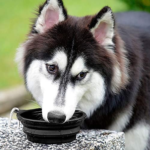 Kytely Large Collapsible Dog Bowls 2 Pack, 34oz Foldable Dog Travel Bowl | Portable Dog Water Food Bowl with Clasp, Pet Cat Feeding Cup Dish for Traveling, Walking, Parking - Image 5