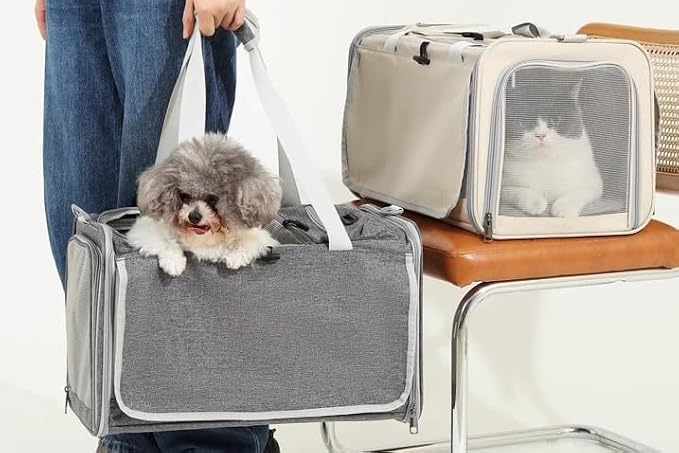 Pet Carrier Bag for Cats & Small Dogs, Airline Approved Travel Cat Carrier with Mesh Windows, Shoulder Strap & Removable Mat, Foldable Design for Home & Outdoor Trips - Image 3