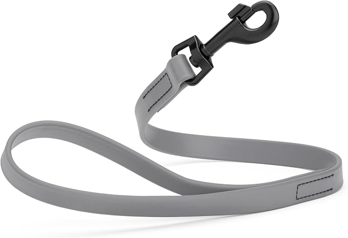 Dogline Biothane Waterproof Dog Leash Strong Coated Nylon Webbing with Black Hardware Odor-Proof Easy to Clean High Performance for Small or Large Dogs Made in USA 2 ft Lead, Battleship Gray by Dogline