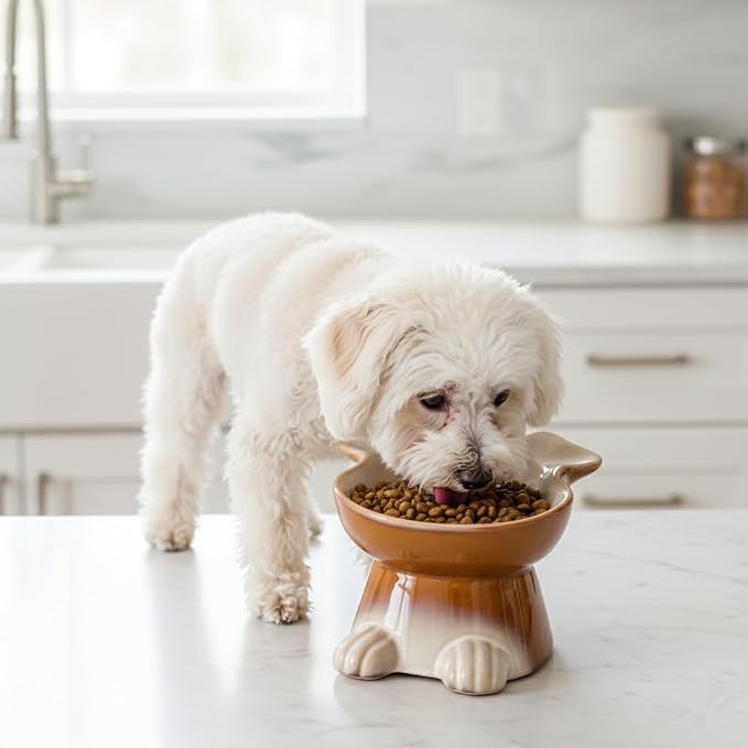 Nihow Elevated Ceramic Dog Bowls: 6.5 Inch Raised Dog Bowl for Food & Water | Food Safe Bowl for Medium/Small Size Dogs - Brown Puppy Bowls for Protecting Pet's Spine(1 PC) - Image 6