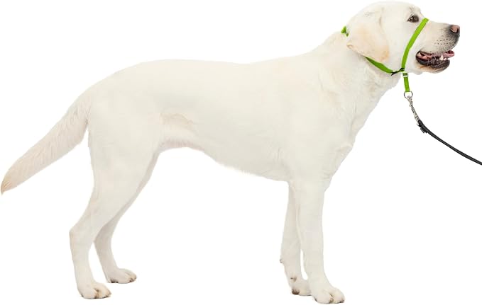 PetSafe Gentle Leader No Pull Dog Headcollar, Apple Green, Large | Veterinary Behaviorist-Designed No-Pull Headcollar Redirects Pulling Instinct, Padded Neoprene Nose Loop, Quick-Snap Fit by PetSafe