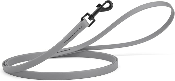 Dogline Biothane Waterproof Dog Leash Strong Coated Nylon Webbing with Black Hardware Odor-Proof Easy to Clean High Performance for Small or Large Dogs Made in USA 4 or 6 ft Lead, Battleship Gray by Dogline