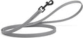 Dogline Biothane Waterproof Dog Leash Strong Coated Nylon Webbing with Black Hardware Odor-Proof Easy to Clean High Performance for Small or Large Dogs Made in USA 4 or 6 ft Lead, Battleship Gray by Dogline