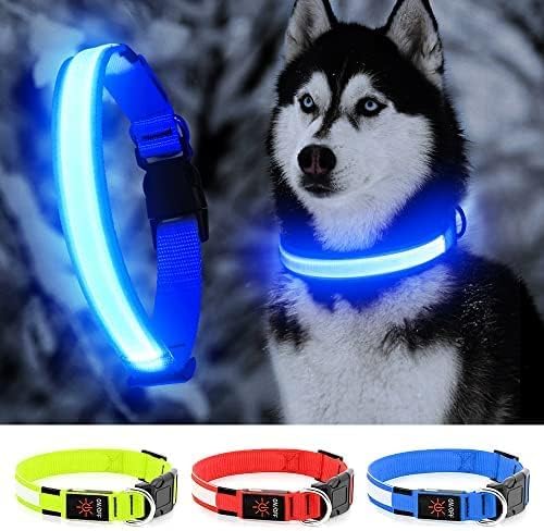 LED Dog Collar, Dog Light Up Collar,for Night Walking (Blue, Medium) | Adjustable,Waterproof,Nylon,Soft,Super Bright Light Collars for Small Medium and Large Dogs,USB C to Charge by YFbrite