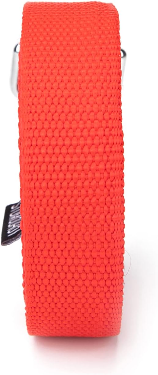 Strong Durable Nylon Dog Training Leash, 1 Inch Wide Traction Rope, 6 ft 10ft 15ft Long, for Small and Medium Dog (Red, 15 Feet) - Image 9