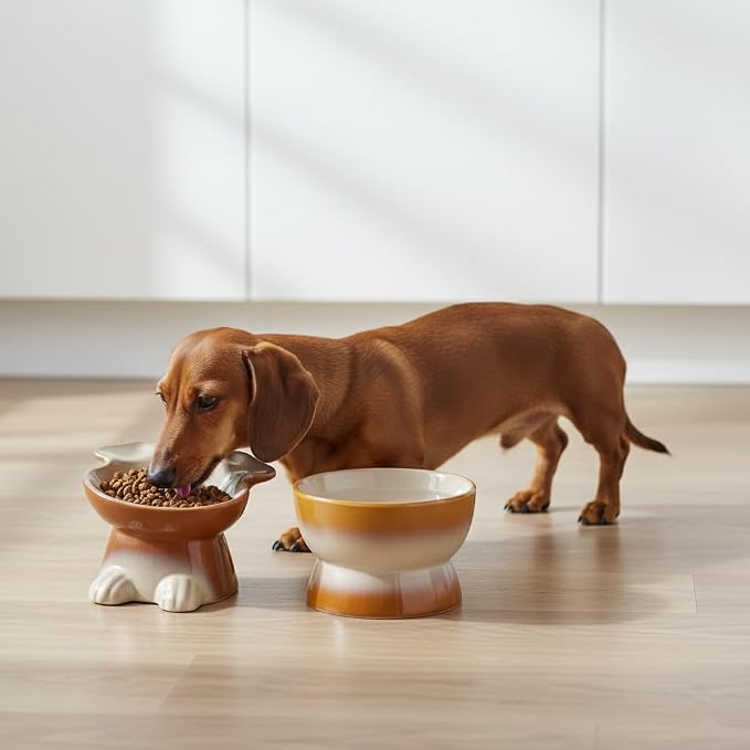 Nihow Dog Food & Water Bowls: Elevated Ceramic Bowls for Medium/Small Dog | Food Safe Raised Puppy Bowls - Brown Pet Bowl for Protecting Pet's Spine (Set of 2) - Image 7