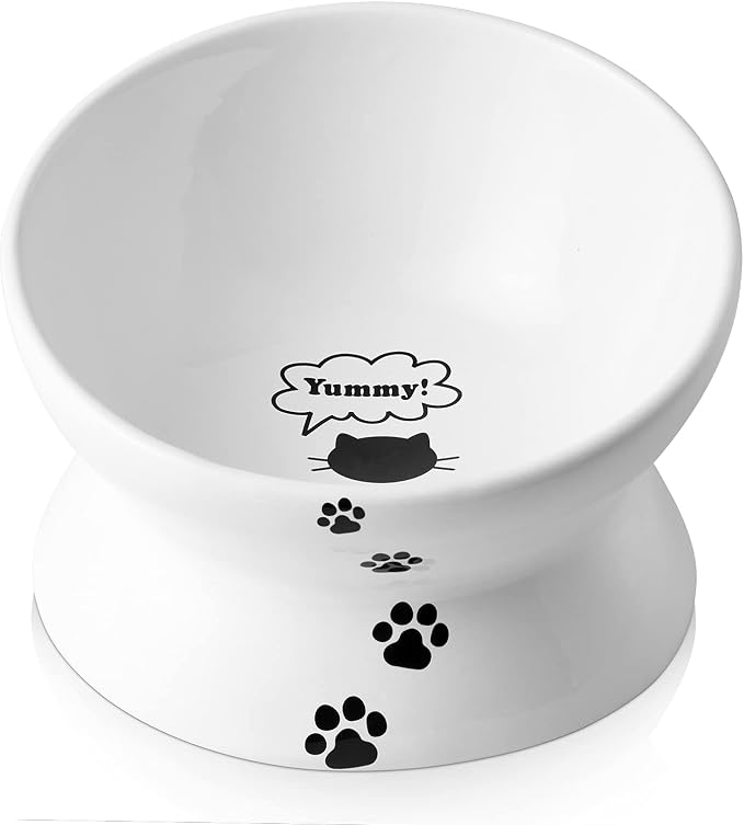 Y YHY Elevated Tilted Cat Bowl, Raised Pet Bowl for Adult Cats or Dogs, Ceramic Food Dish 10 oz, White by YYHY