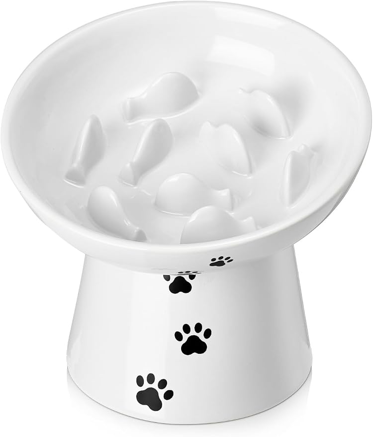 Y YHY Slow Feeder Cat Bowl, Ceramic Cat Slow Feeder Bowl, 6 Inches, Elevated, Anti Vomiting for Dry and Wet Food, White by YYHY