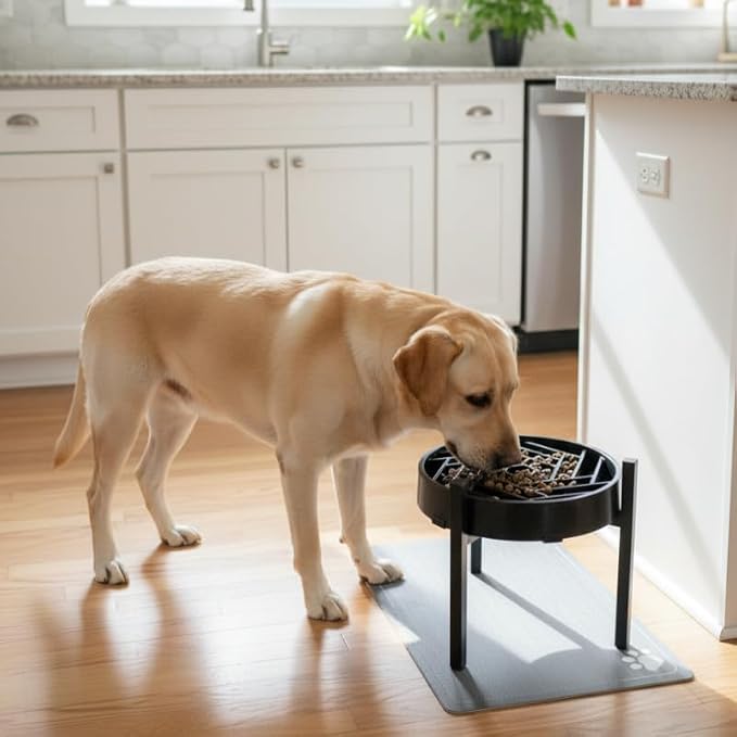 Adjustable Width Dog Bowl Holder - Single Bowl Feeder for Medium to Large Breed Dogs, fits Bowls from 8-11 inches, Sturdy Metal Construction, Ergonomic Design (Bowl not Included) (2Pack) - Image 7
