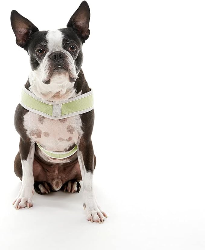 Gooby Simple Step-in III Dog Harness, Green, Medium | Slide-to-fit chest strap; Breathable inner mesh; Scratch-resistant outer; Quick-release buckle; Durable POM leash ring - Image 3